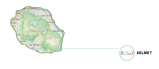 Unit&eacute;s_SLAMB_reunion