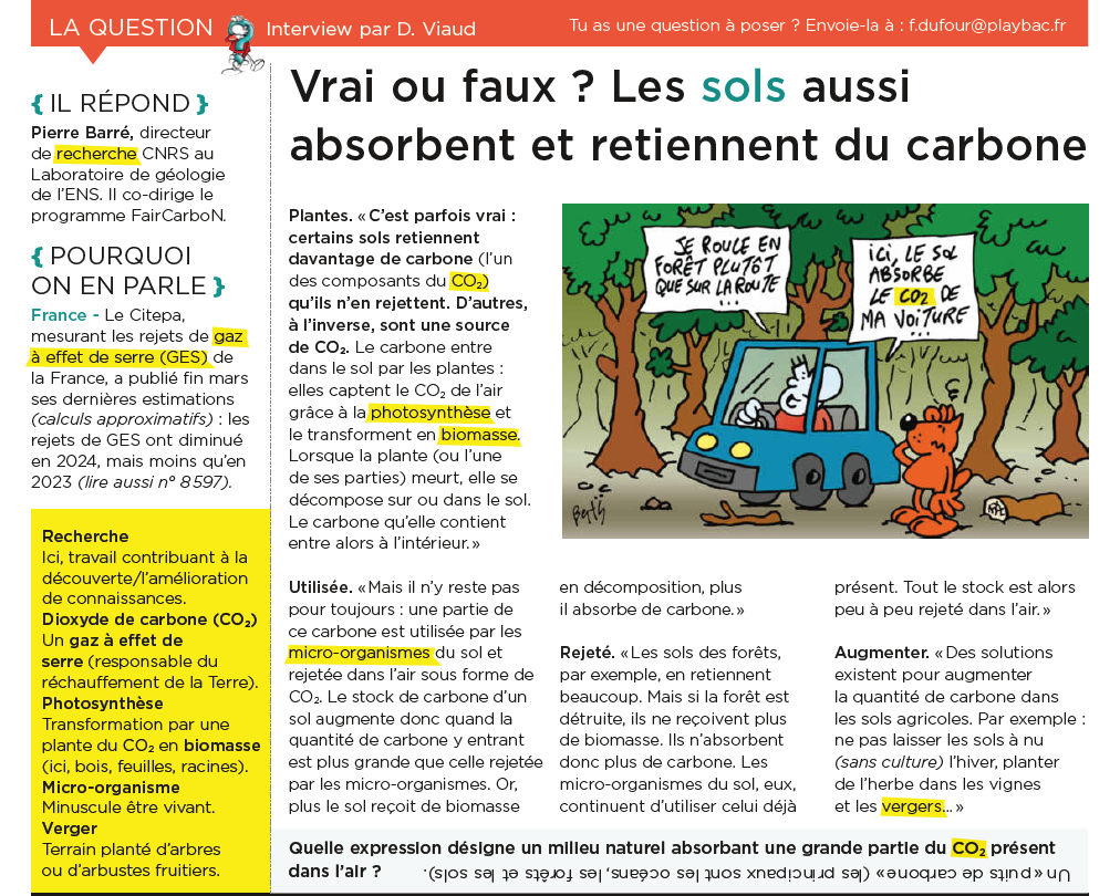 Article Mon Quotidien Article Mon Quotidien