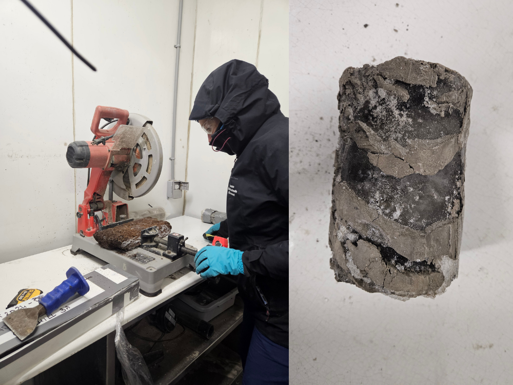 Expédition PEACE 11 laure carotte