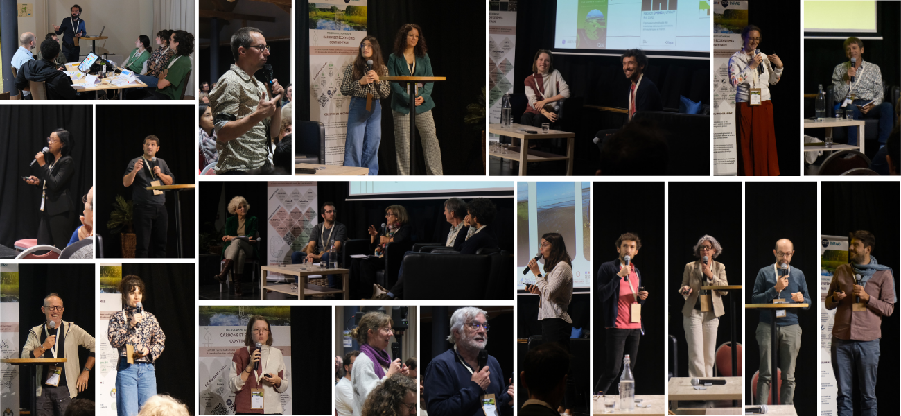 Montage Photos (2).png Montage Photos (2).png