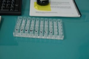 Expédition PEACE 9 échantillons petits