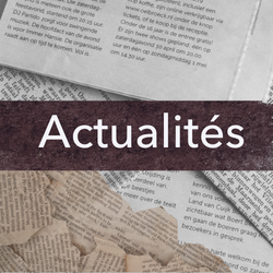 Vignettes Actu .png Vignettes Actu .png