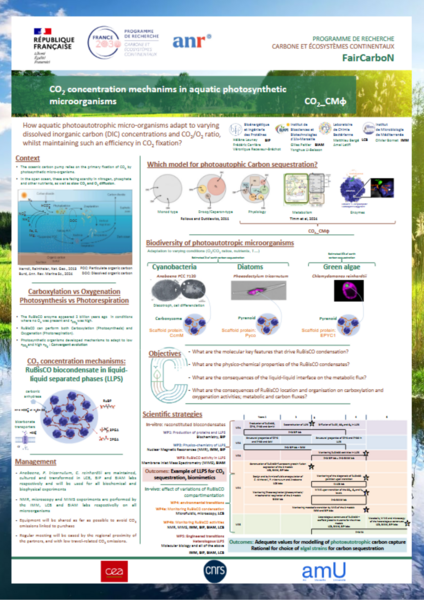 CO2_CMPhi.png CO2_CMPhi.png