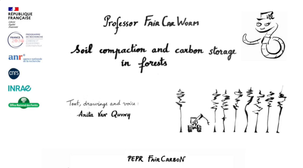 Professeur VerCarboN ENG Forest.png Professeur VerCarboN ENG Forest.png