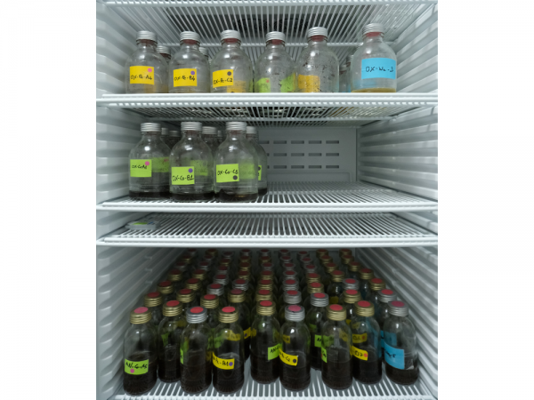 Expédition PEACE 10 frigo droit