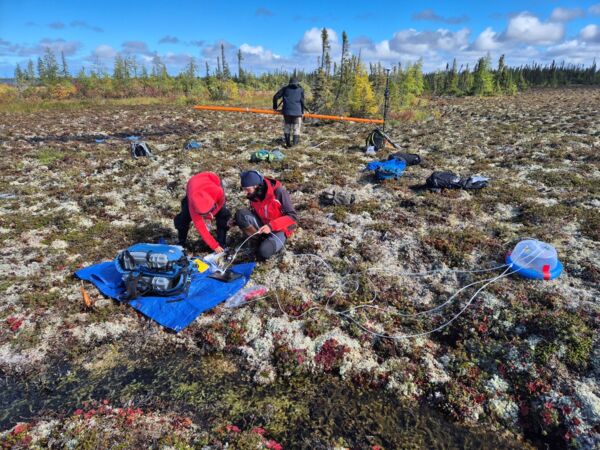 PEACE 8.jpg PEACE 8.jpg