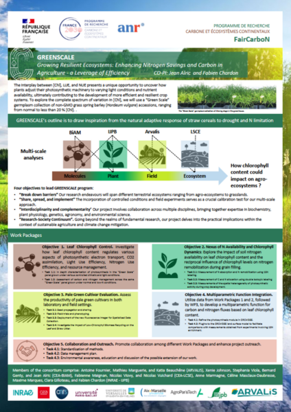 GREENSCALE(1).png GREENSCALE(1).png