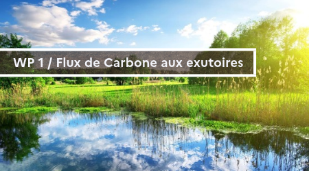 WP 1 CarboNium.png WP 1 CarboNium.png