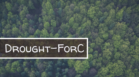 Drought-ForC - Walter Drought-ForC - Walter