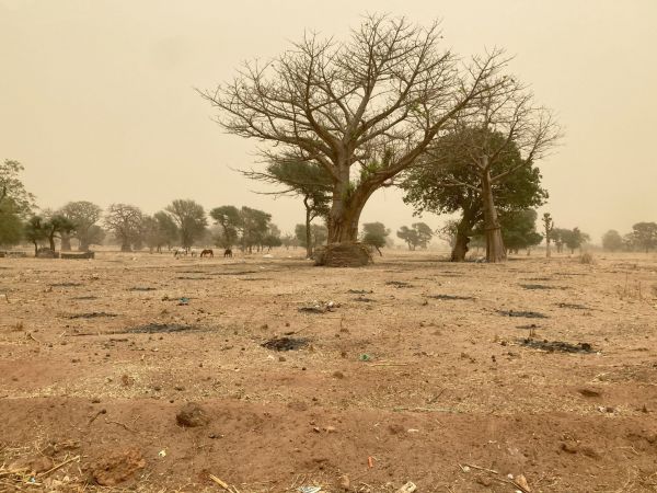 SLAM-B Scénatio Lab Sénégal 4 SLAM-B Scénatio Lab Sénégal 4