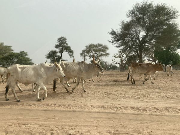 SLAM-B Scénatio Lab Sénégal 3 SLAM-B Scénatio Lab Sénégal 3