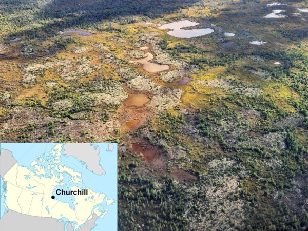 PEACE Canada 0.jpg PEACE Canada 0.jpg