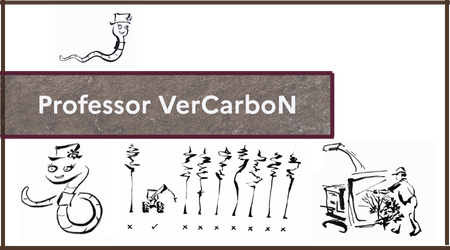 Prof VerCarboN ENG Prof VerCarboN ENG
