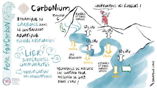 CarboNium dessin VF