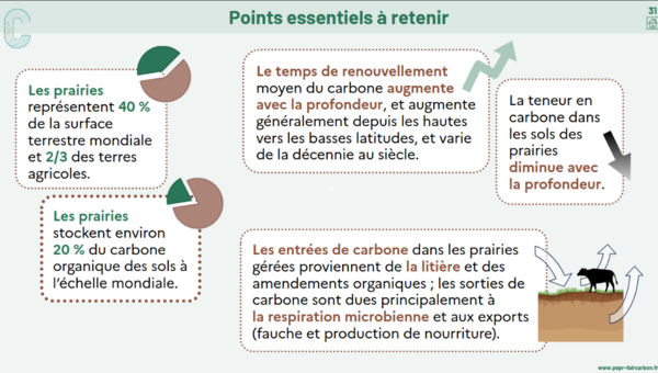 Retrouver la communaut&eacute; FairCarboN.png