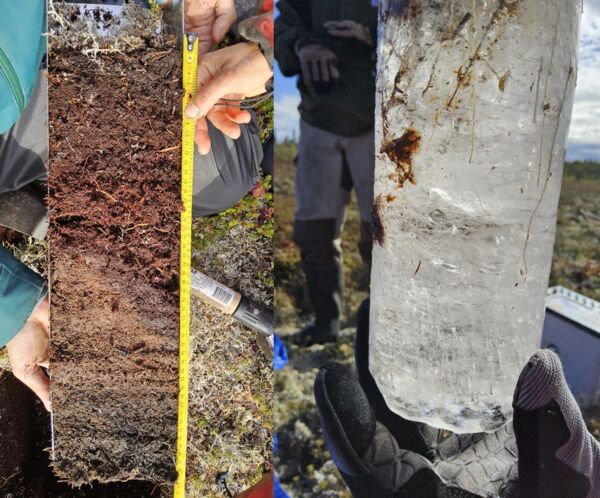 PEACE 9.jpg PEACE 9.jpg